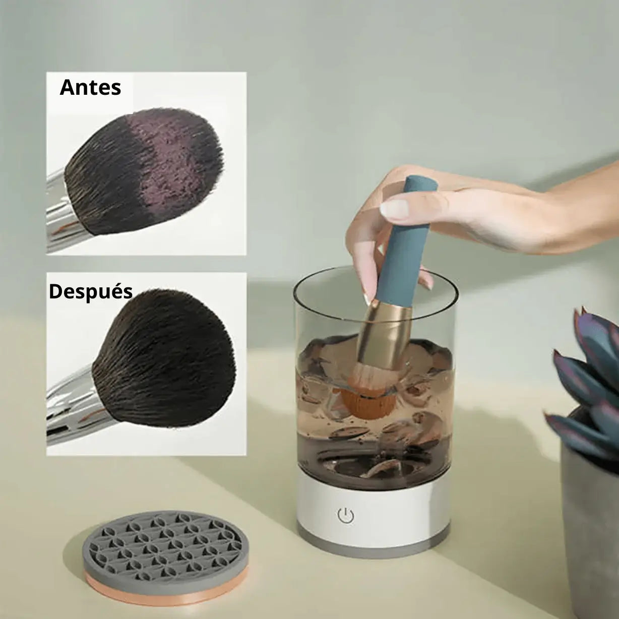 Limpieza profesional, resultados perfectos